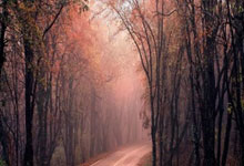 C7娱乐：[国]三连败！国1比3不敌澳大利亚.