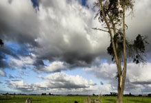 C7娱乐：史诗级！曝1亿欧顶级攻击手“空降”切尔西！7500万射手主动来投.