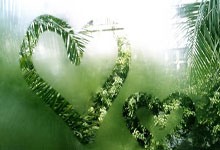 [足球之夜]国足小将：不让青春等待.