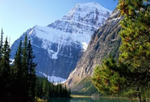 C7娱乐：亚残运会盲人足球赛现场，电子导盲犬成为场外明星潮新闻.